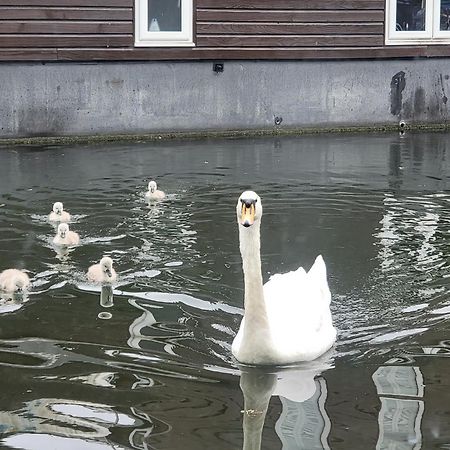 Lovely Canal Boat In Little Venice For Family & Friends London Exterior foto